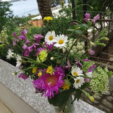 Great Mali Losinj